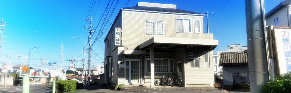 トップ画像・刀根川歯科医院外観